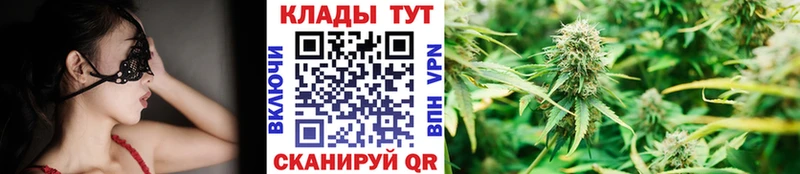 Наркошоп купить ГАШ  Alpha-PVP  Меф мяу мяу  Бошки Шишки  Ноябрьск