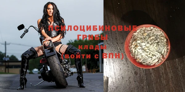 молекула духа Беломорск
