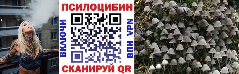 Псилоцибиновые грибы Psilocybine cubensis  Купить  Ноябрьск 